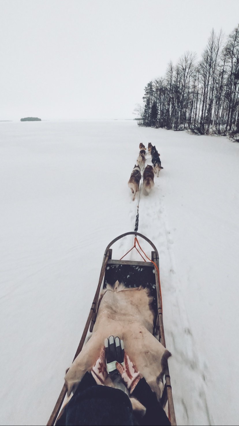 The Siberians Husky‑Tours